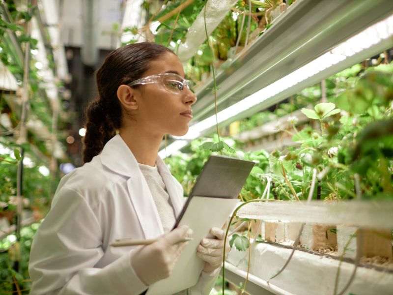 Environmental Intelligence & Monitoring